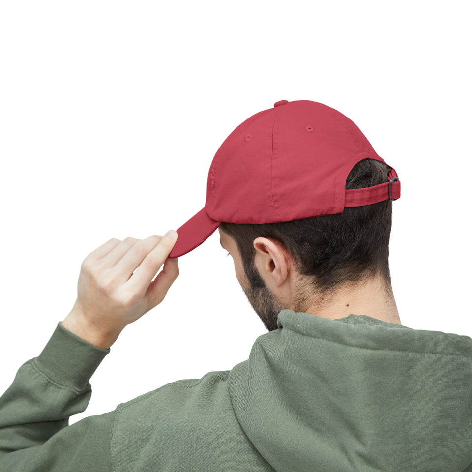 Trump 2024, Protect America Again, Unisex Distressed Caps, Donald Trump, Republican Cap, Political Cap, USA Flag Cap, America Cap, Election