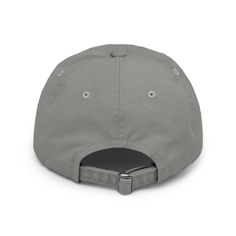 Trump 2024, Protect America Again, Unisex Distressed Caps, Donald Trump, Republican Cap, Political Cap, USA Flag Cap, America Cap, Election