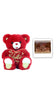 Bear with Palmer Fudge Hearts