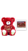 Bear with Palmer Double Crisp Chocolate Hearts