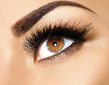 Eyebrow Extensions Kit with 2 Trays of Mink Eyebrows in Blonde / Light Brown, Eyebrow Extension Glue Clear & Extension Tweezers, Comes on Mixed Length Trays 5-8 Mm Mix by Kc Republic (Light Brown 2Pack, Black Tweezer)